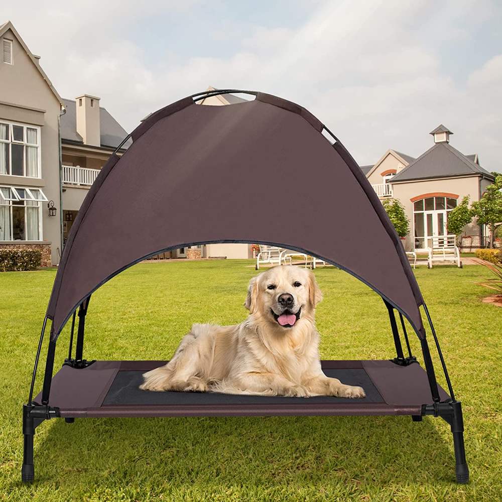 Elevated Bed with Canopy: image 2