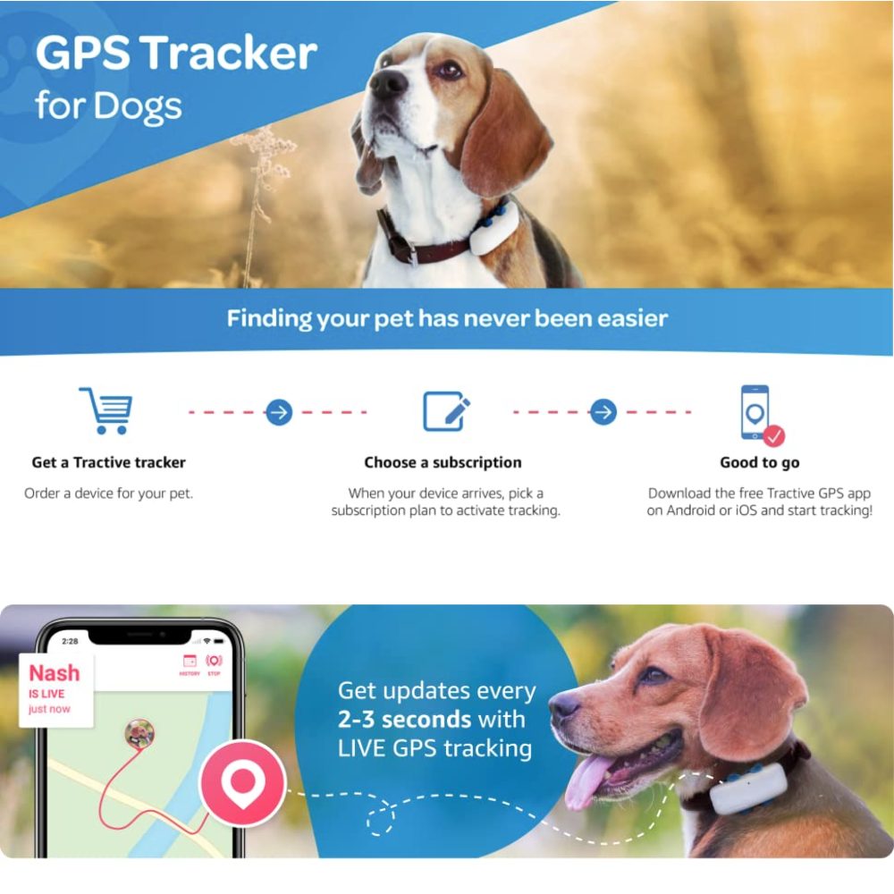 GPS Tracker Collar: image 5