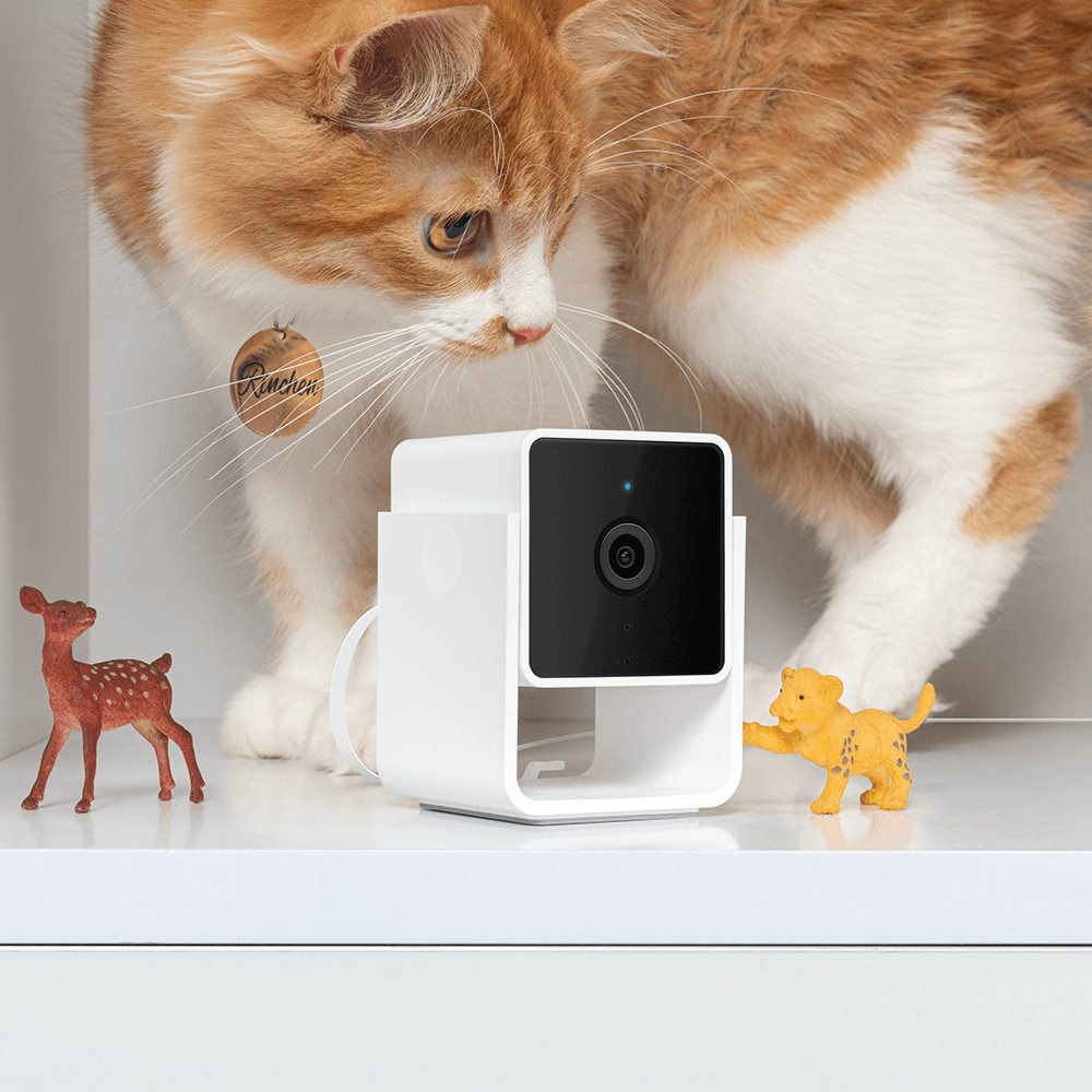 1080p Pet Camera with Two Way Audio: image 2