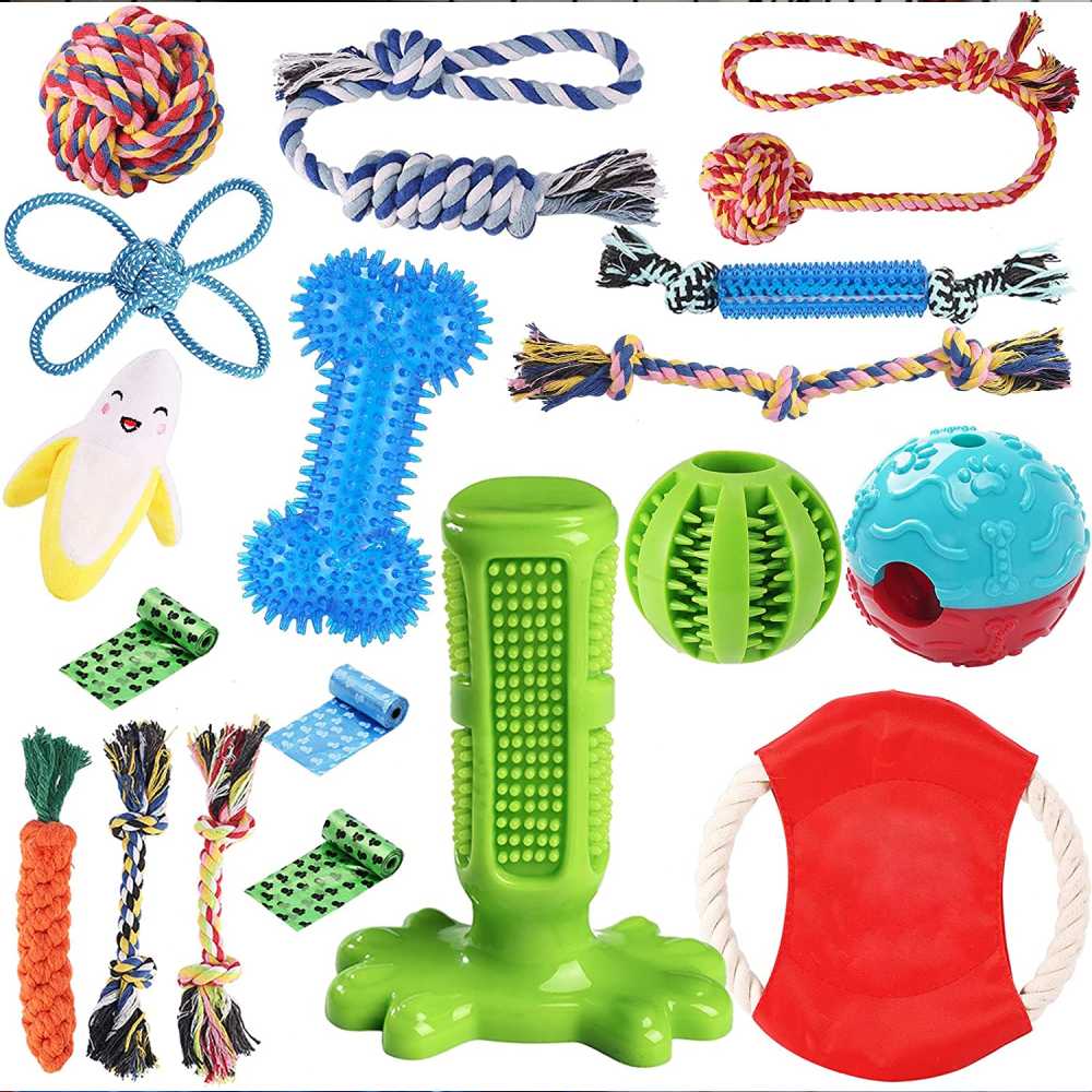 Eighteen Piece Puppy Toy Set