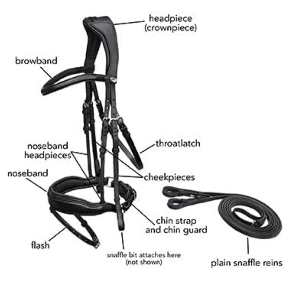 Padded Comfort Bridle in English Bridle Leather: image 4