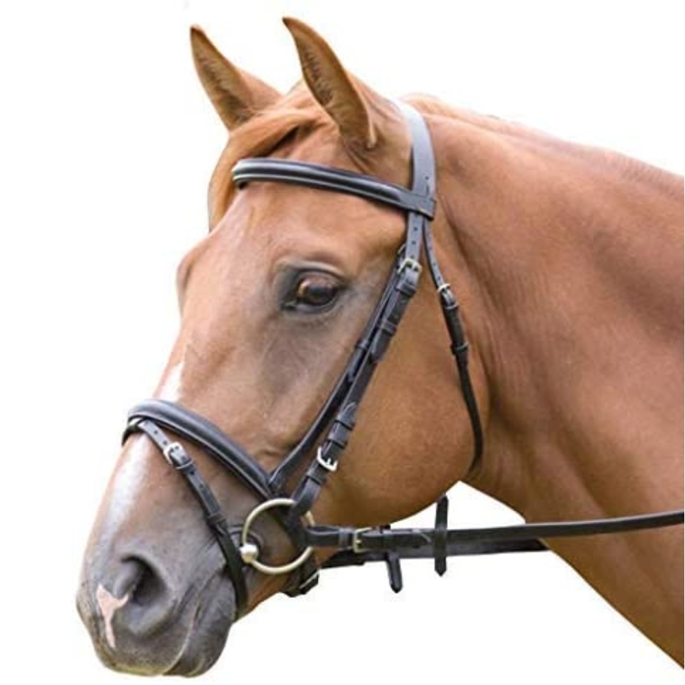 Padded Comfort Bridle in English Bridle Leather: image 6
