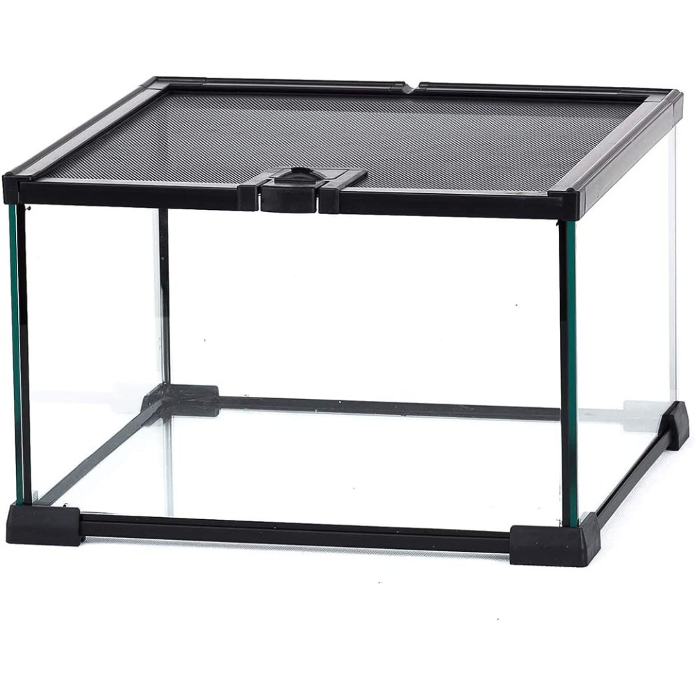 Mini Glass Terrarium with Mesh Top