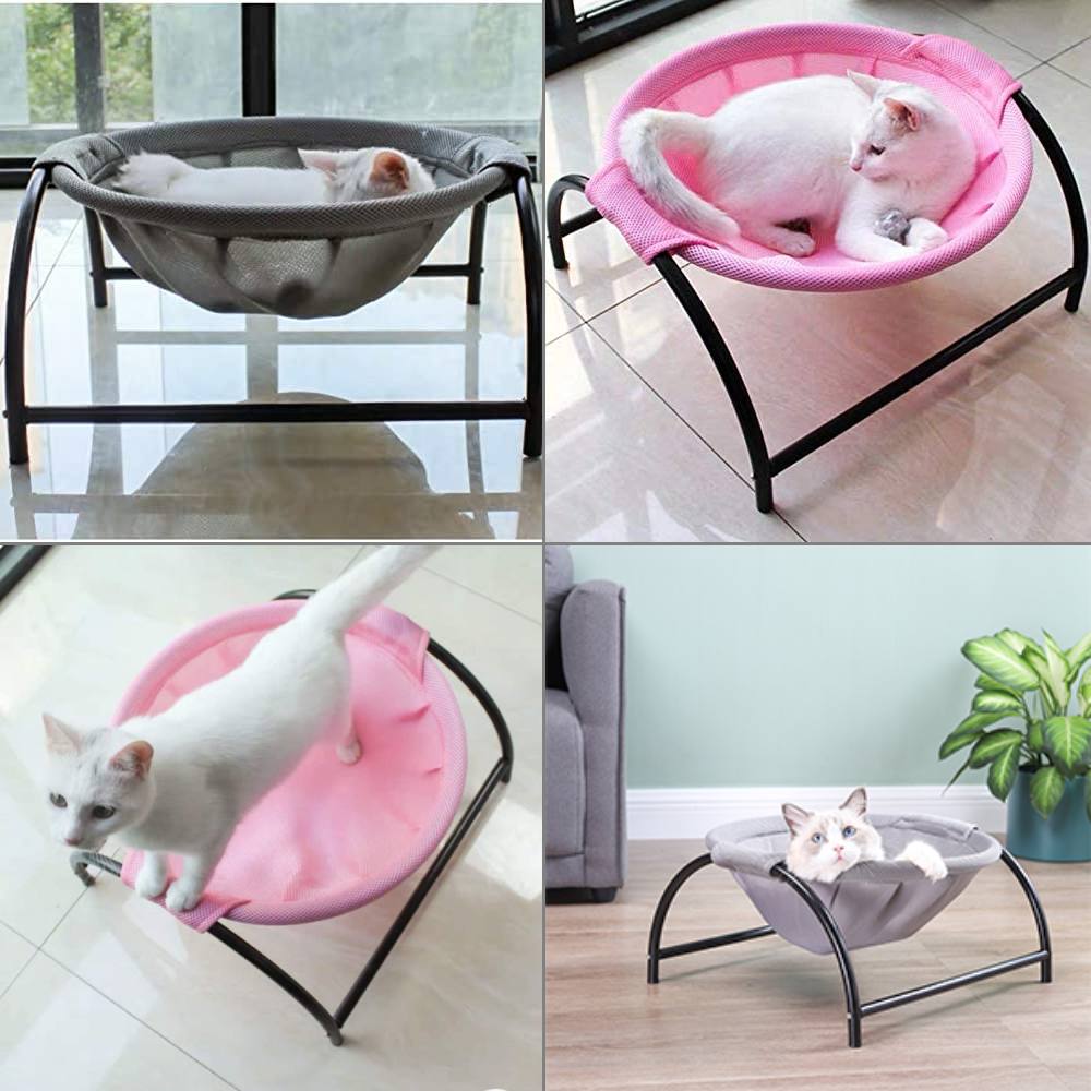 buy cat hammock online