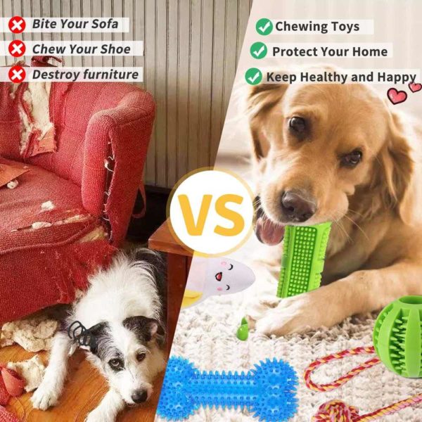 buy puppy dog chew toys sale online