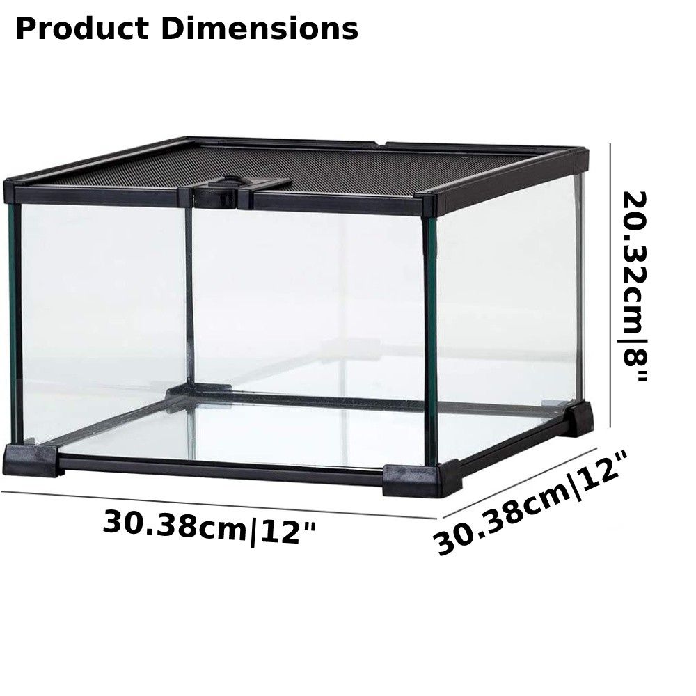mini reptile glass terrarium tank sale online
